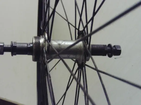 wheel.webp