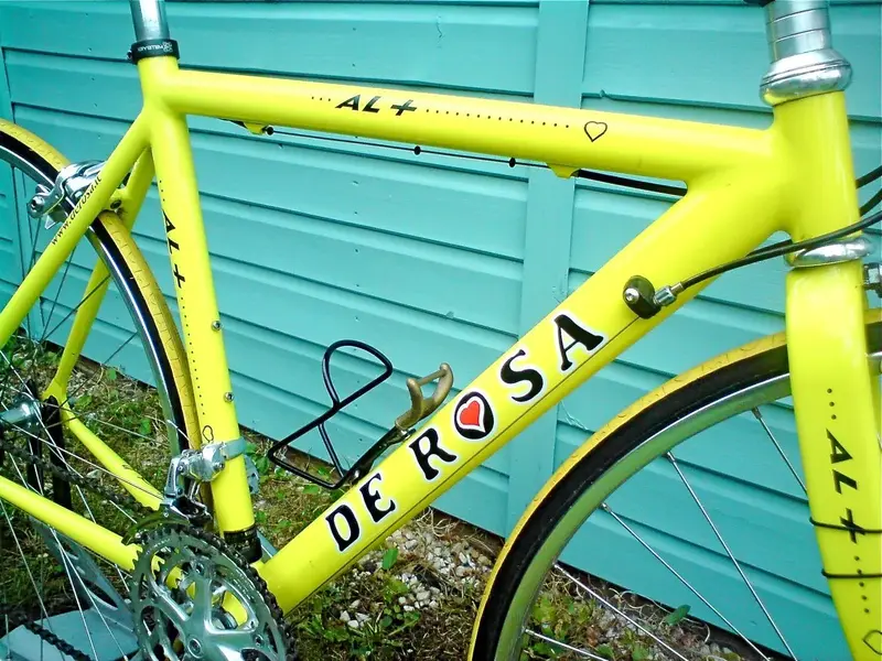 de rosa AL 2.webp