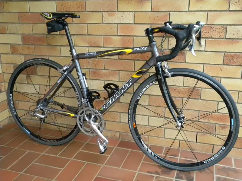 Giant TCR 1 Revised.webp