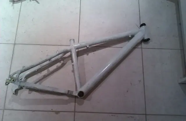 IMAG0618.webp
