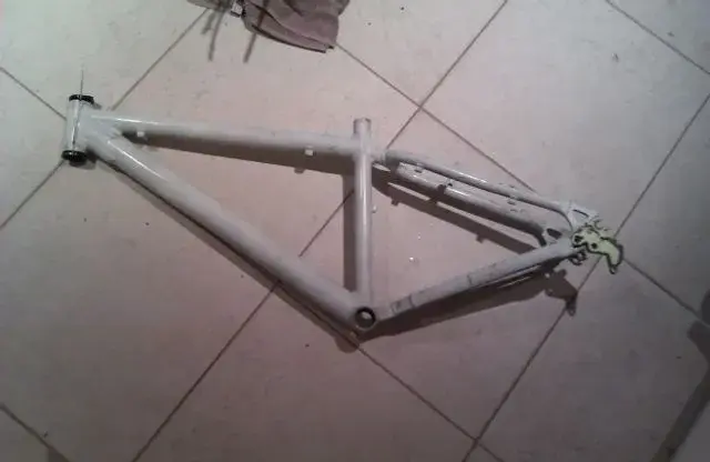IMAG0615.webp