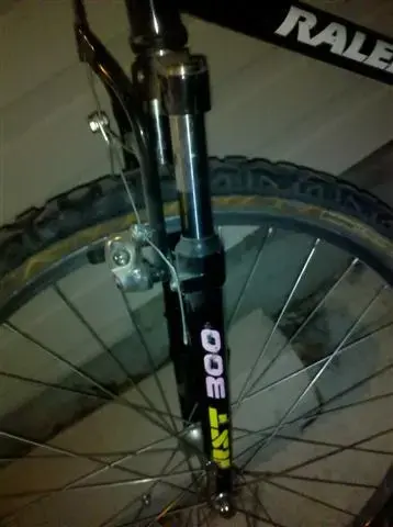 raleigh 3 (Small).webp