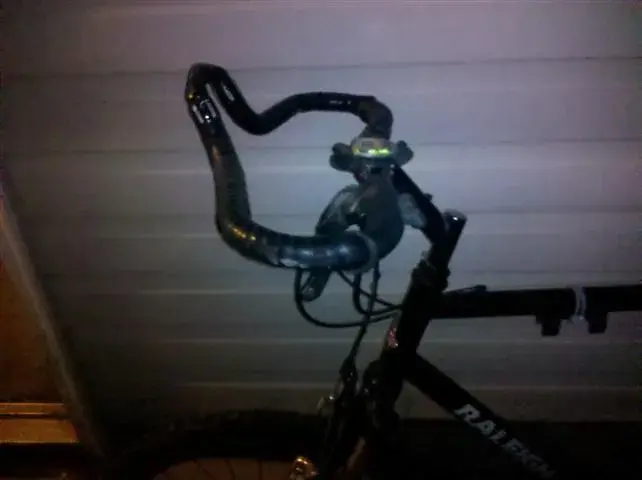 raleigh 2 (Small).webp