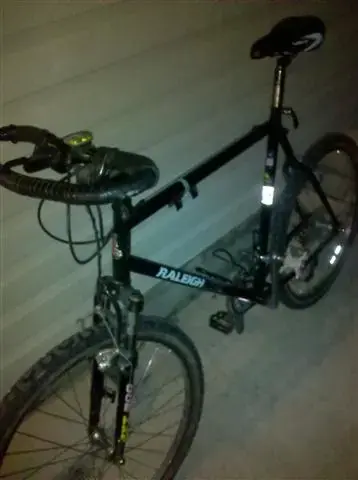 raleigh 1 (Small).webp