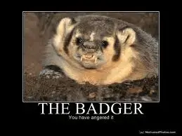 badger.webp