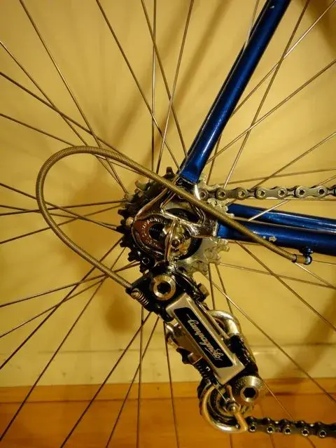 DSC01375.webp