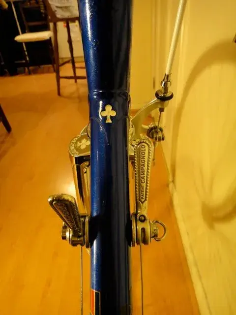 DSC01374.webp