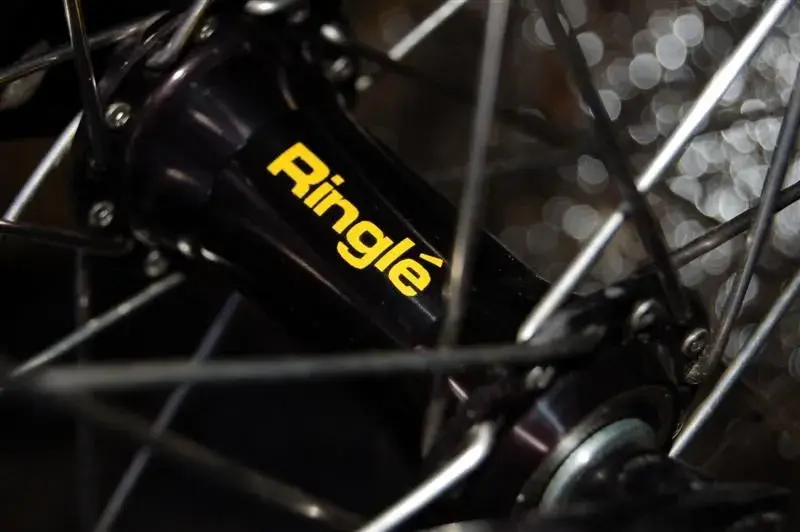 Ringle_Sunn 001 (Medium).webp