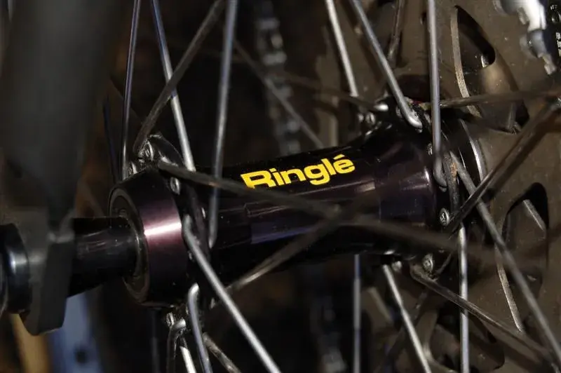 Ringle_Sunn 007 (Medium).webp