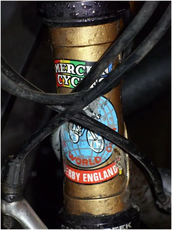 Head Badge.webp