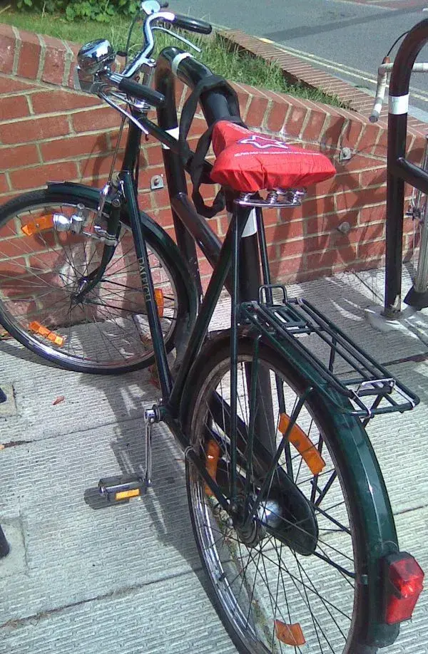 raleigh roadster green 1.webp