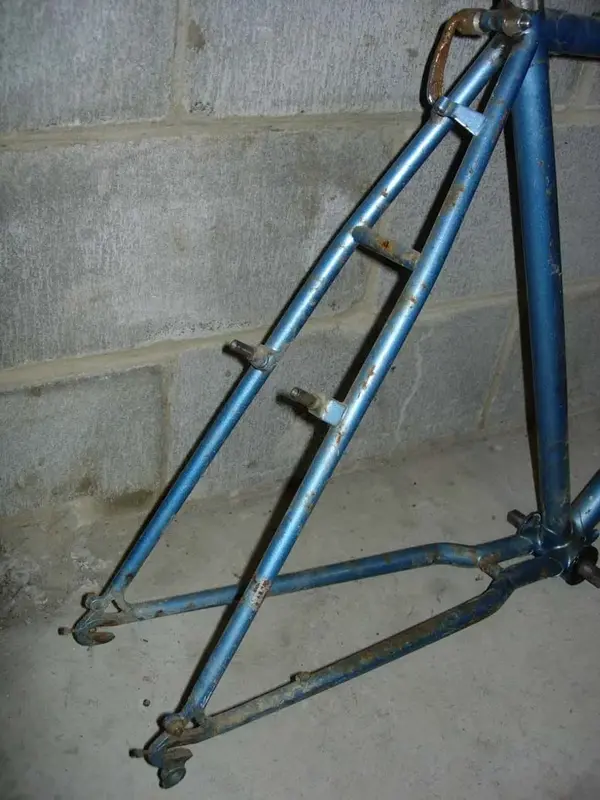 84_Bianchi_rear.webp
