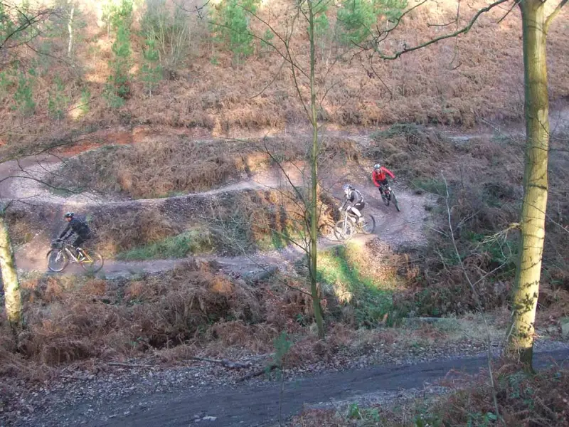 cannock 5.webp