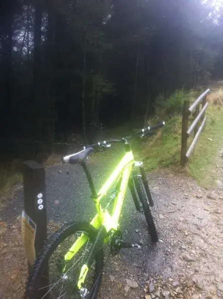 patriot at coed y brenin.webp