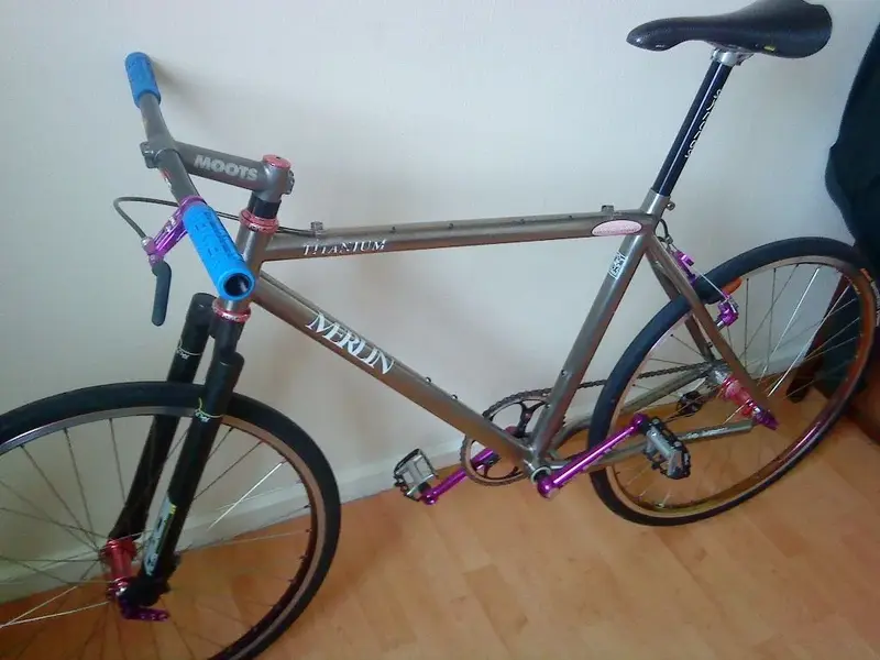 Merlin 003.webp