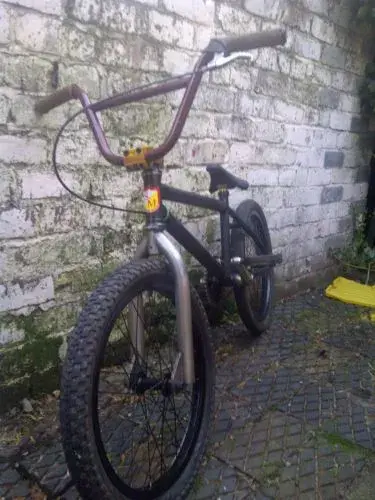 s&m josh stricker 21