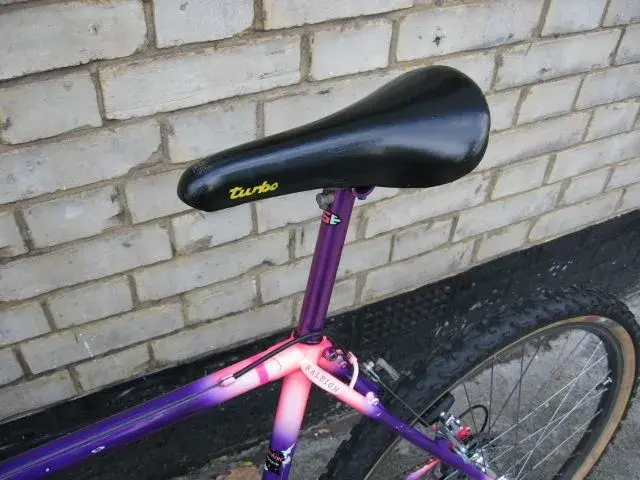 raleigh 002.webp