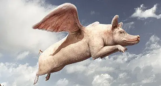 flying-pig-l.webp