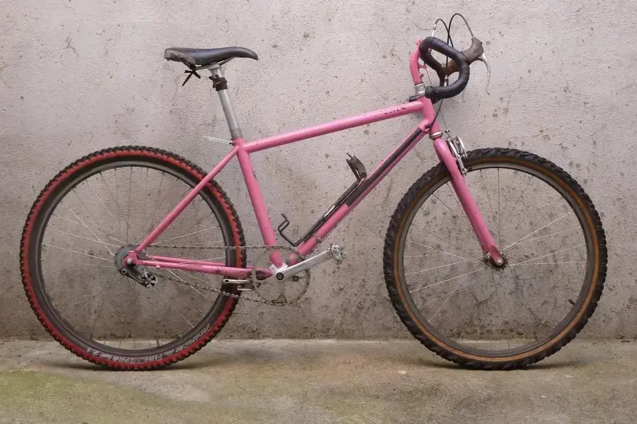 Bushpig's WTB Phoenix.webp