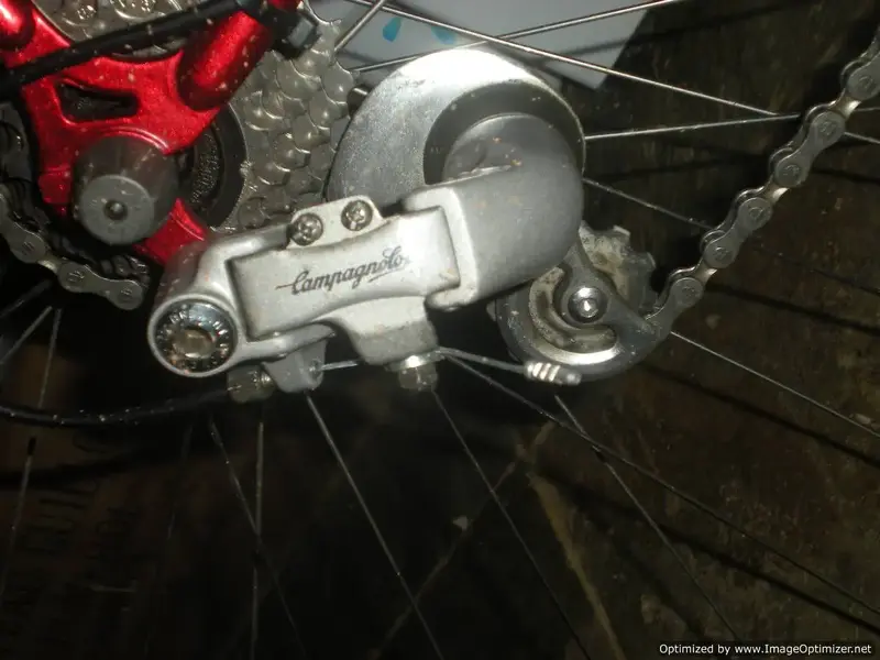 DSCN2146-Optimized.webp