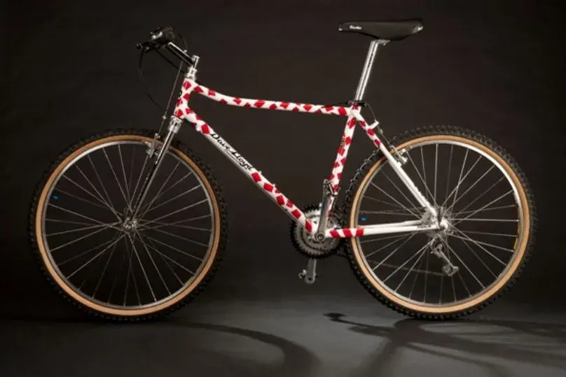 bikes_3487_762.webp