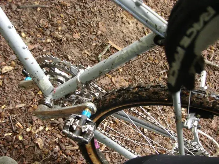 bikes 4958.webp