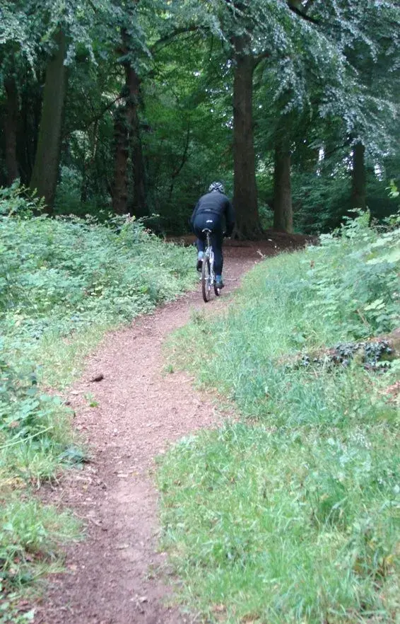 bikes 4949.webp
