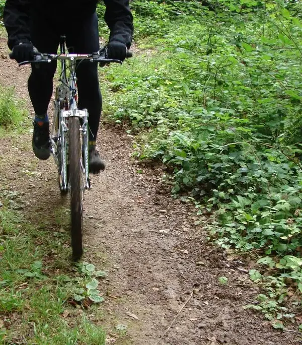 bikes 4991.webp