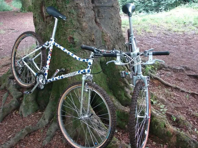 bikes 4998.webp