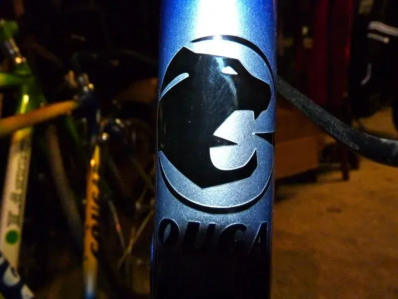 cougar head badge.webp