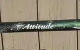 attitude.webp