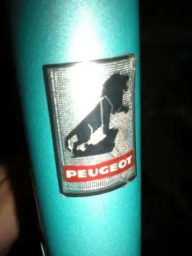 stickerLion.webp