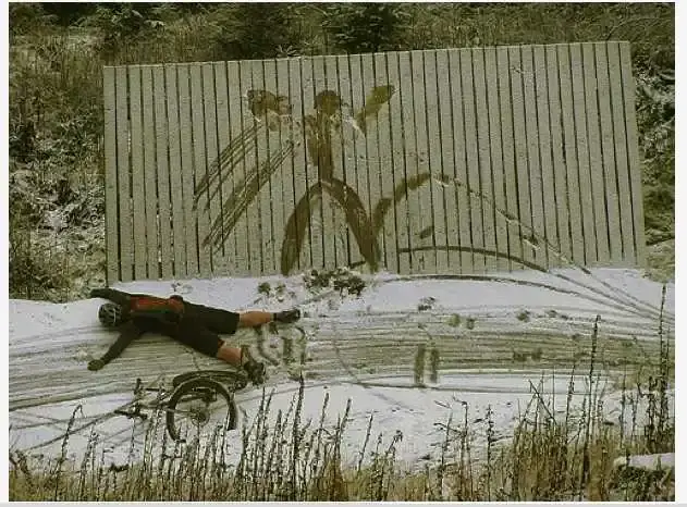 Snow Angel.webp