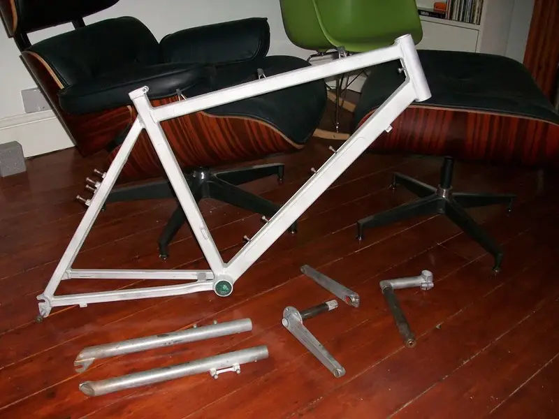 stripped1.webp