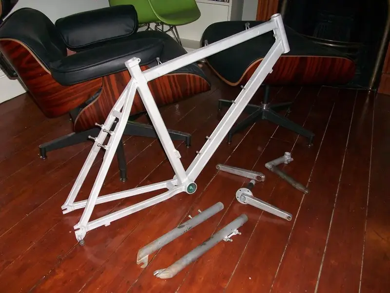 stripped2.webp