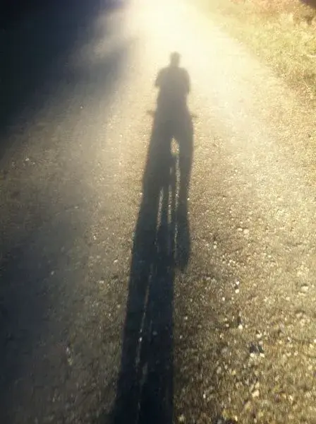 today on the trail.webp