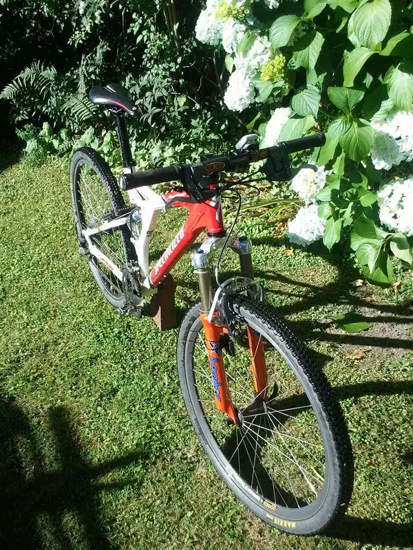 Specialized (6).webp
