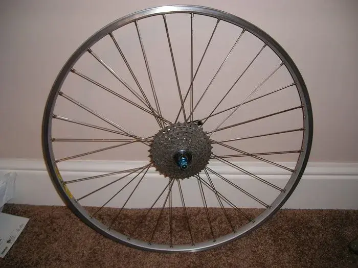 Beavis Bike 033.webp