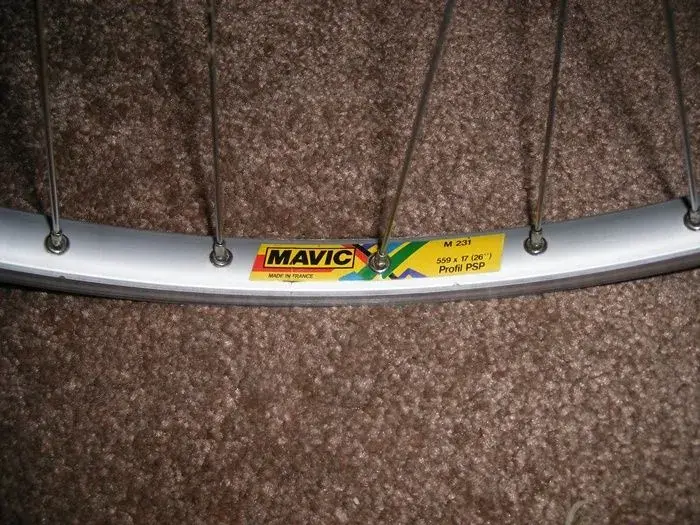 Beavis Bike 031.webp