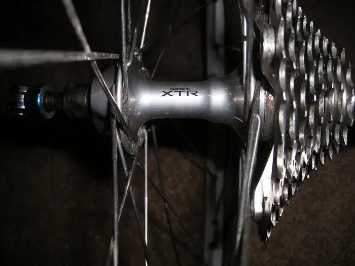 Beavis Bike 030.webp