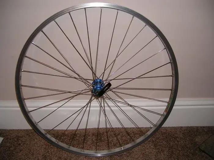 Beavis Bike 029.webp