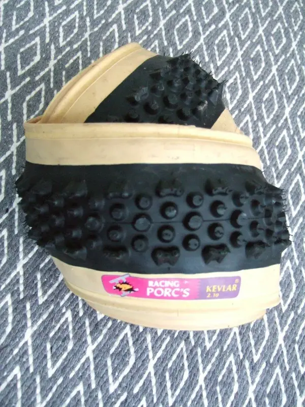 DSCF0857.webp