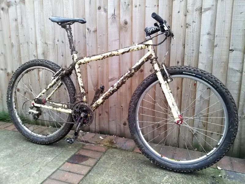 Mud Meet Kona!.webp