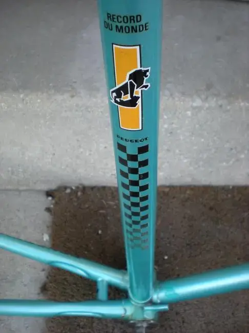 seattube2.webp