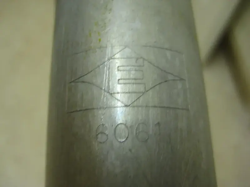 98 zaskar hot mango (6).webp