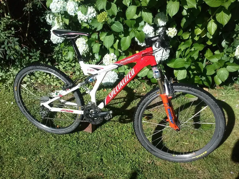 Specialized (3).webp
