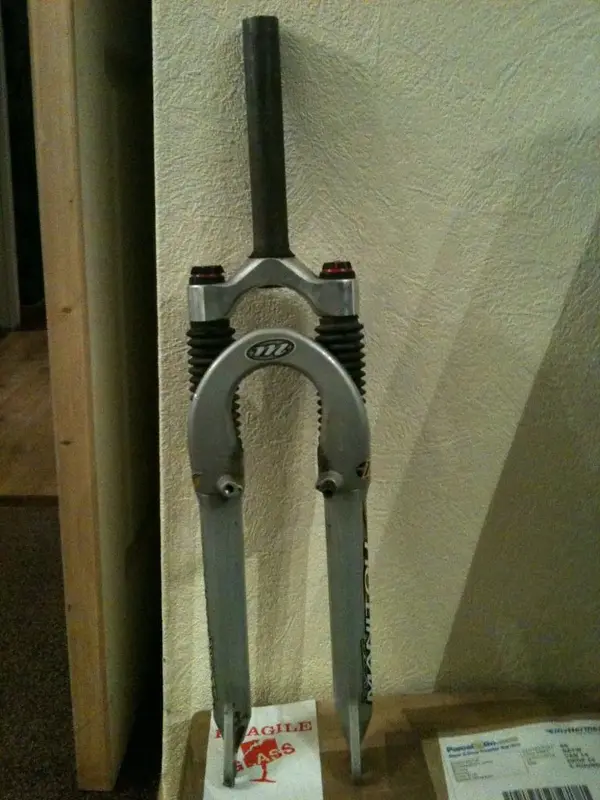 photo1.webp