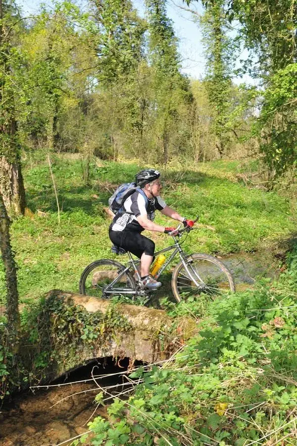 20110410AX3930 (EM) - Copy.webp