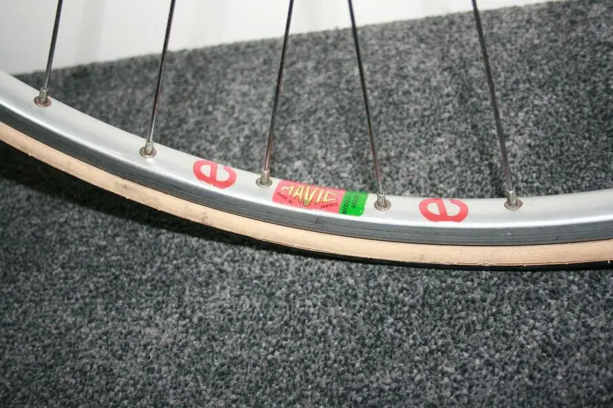 gazelle2 002.webp