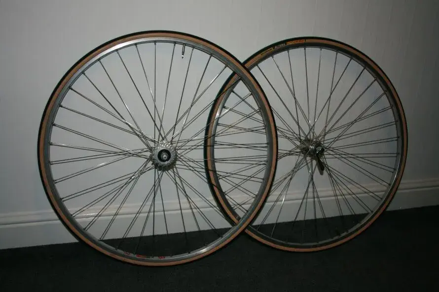 gazelle2 001.webp